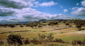Natuurpark Sierra de Aracena y Picos de Aroche
